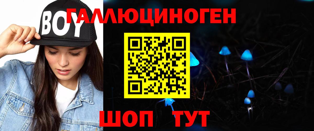 Чернушка  Псилоцибиновые грибы Psilocybine cubensis  Вход с VPN 